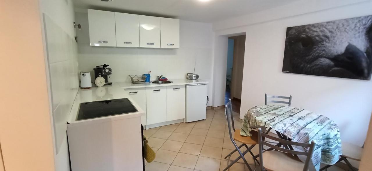 Apartament U Sikorek イェレニャ・グーラ エクステリア 写真